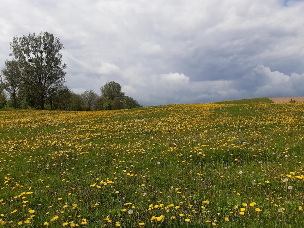 Domek W Kwiatach Zyndaki Exteriör bild