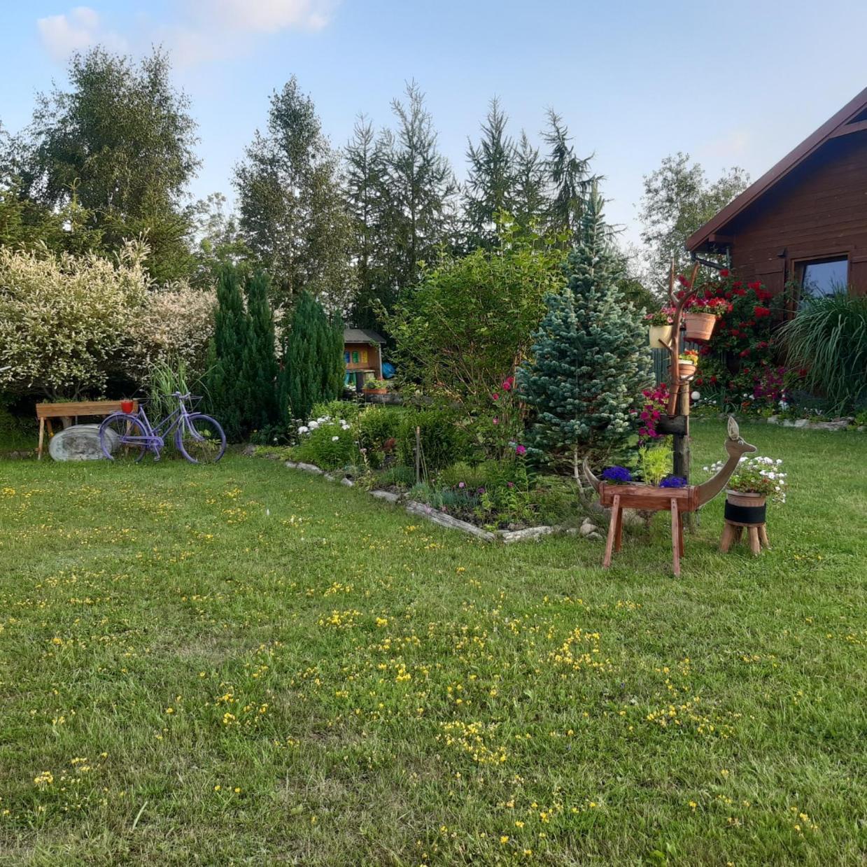 Domek W Kwiatach Zyndaki Exteriör bild